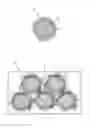 Fig. 02 - Method for the preparation of a reinforced thermoset polymer composite