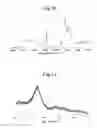 Fig. 07 - Sulfur-modified polyacrylonitrile, manufacturing method therefor, and application thereof