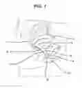 Fig. 02 - METHOD AND APPARATUS FOR IN VITRO TESTING FOR MEDICAL DEVICES