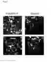 Fig. 08 - Polymerized Hemoglobin Media And Its Use In Isolation And Transplantation of Islet Cells