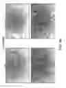 Fig. 09 - Genetically modified mice and engraftment