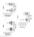 Fig. 23 - Genetically modified mice and engraftment