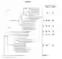 Fig. 02 - COMPOSITIONS FOR USE IN IDENTIFICATION OF ENTERIC BACTERIAL PATHOGENS