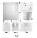Fig. 02 - METHOD FOR OBTAINING PURKINJE PROGENITOR CELL BY USING NEPH3(65B13) AND E-CADHERIN