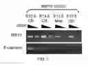 Fig. 08 - METHOD FOR OBTAINING PURKINJE PROGENITOR CELL BY USING NEPH3(65B13) AND E-CADHERIN
