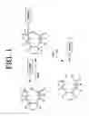 Fig. 02 - Compositions and methods for the protection of nucleophilic groups