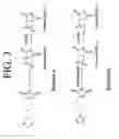 Fig. 04 - Compositions and methods for the protection of nucleophilic groups