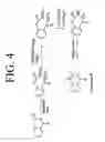 Fig. 05 - Compositions and methods for the protection of nucleophilic groups
