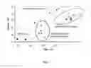 Fig. 04 - METHODS AND COMPOSITIONS FOR DIAGNOSING EPITHELIAL CELL CANCER