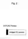 Fig. 03 - Antibody binding to envelope protein 2 of hepatitis C virus and method for identifying genotype of hepatitis C virus using the same