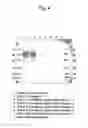 Fig. 05 - Antibody binding to envelope protein 2 of hepatitis C virus and method for identifying genotype of hepatitis C virus using the same