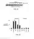 Fig. 13 - Methods and compositions for detecting receptor-ligand interactions in single cells