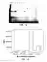 Fig. 09 - Compositions comprising a dehalogenase substrate and a fluorescent label and methods of use