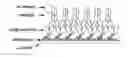 Fig. 01 - Immunosensors: scFv-linker design for surface immobilization