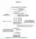 Fig. 03 - Methods for the detection of HIV-1-specific antibodies employing GP41 polypeptides