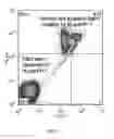 Fig. 02 -  NOVEL SORTING TECHNOLOGY THAT ALLOWS FOR HIGHLY EFFICIENT SELECTION OF SPERM WITHOUT CHROMATIN DAMAGE