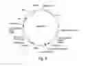 Fig. 04 - Recombinant expression vector elements (REVES) for enhancing expression of recombinant proteins in host cells
