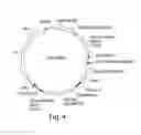 Fig. 05 - Recombinant expression vector elements (REVES) for enhancing expression of recombinant proteins in host cells