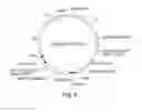 Fig. 07 - Recombinant expression vector elements (REVES) for enhancing expression of recombinant proteins in host cells
