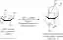 Fig. 09 - PROCESS FOR THE PREPARATION OF SCYLLO-INOSITOL