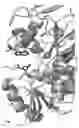 Fig. 20 - Reduced by-product accumulation for improved production of isobutanol