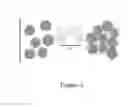 Fig. 03 - HARVESTING MICRO ALGAE