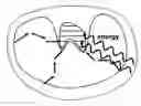 Fig. 01 - Identification and modification of dynamical regions in proteins for alteration of enzyme catalytic effect