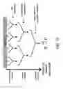 Fig. 13 - Identification and modification of dynamical regions in proteins for alteration of enzyme catalytic effect