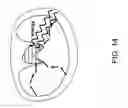 Fig. 15 - Identification and modification of dynamical regions in proteins for alteration of enzyme catalytic effect