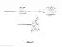 Fig. 09 - Biomolecules having multiple attachment moieties for binding to a substrate surface