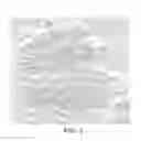 Fig. 04 - Methods And Compositions For Growth Of Hydrocarbons In Botryococcus sp.
