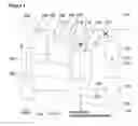 Fig. 02 - Method for digesting a biomass comprising lignin together with cellulose and/or hemicellulose
