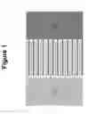 Fig. 02 - Polymer Replicated Interdigitated Electrode Array for Bio(Sensing) Applications