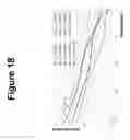 Fig. 19 - Polymer Replicated Interdigitated Electrode Array for Bio(Sensing) Applications