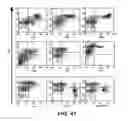Fig. 43 - ISOLATED MYELOID-LIKE BONE MARROW CELL POPULATIONS AND METHODS OF TREATMENT THEREWITH