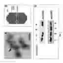 Fig. 03 - Vault complexes for facilitating biomolecule delivery