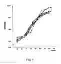 Fig. 02 - Manufacturing method of immune killer cells