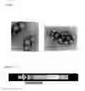 Fig. 04 - ALPHAVIRUS PACKAGING CELL LINES