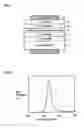Fig. 02 - Method of manufacturing a light-emitting device