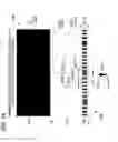 Fig. 22 - Method of manufacturing an optical member having stacked high and low refractive index layers