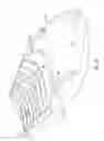 Fig. 02 - WATER SLED APPARATUS