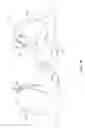 Fig. 03 - Adjustable breast support garment