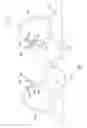 Fig. 04 - Adjustable breast support garment