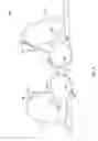 Fig. 06 - Adjustable breast support garment
