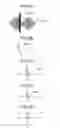 Fig. 04 - Broadcast receiving apparatus and method of determining presence of noise performed by broadcast receiving apparatus