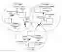 Fig. 01 - Coordinating uplink resource allocation