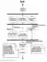 Fig. 07 - METHOD FOR ENHANCING ONLINE INTERACTIVE GAMING