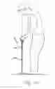 Fig. 07 - Golf club enabling precise swinging movement