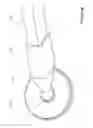 Fig. 31 - Hockey Trainer