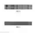 Fig. 07 - BIAS CHARGE ROLLER COMPRISING OVERCOAT LAYER